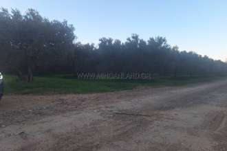 εικόνα ακινήτου