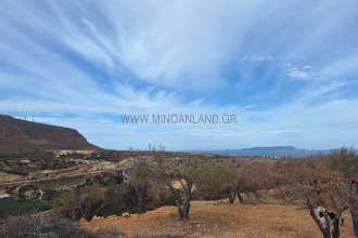 recent property image