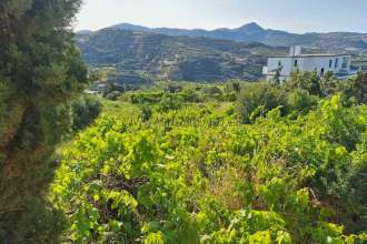 recent property image