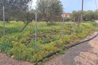 recent property image